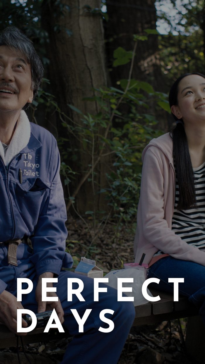 Perfect Days poster