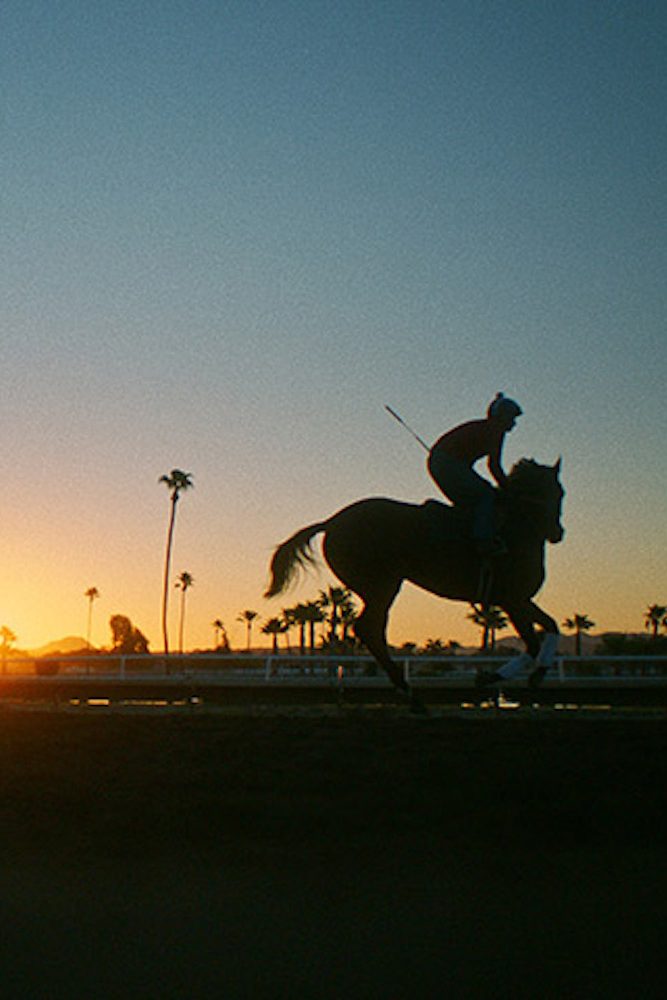 Jockey poster